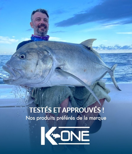 Pescanautic : distributeur KONE