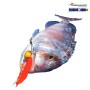 JUKUSEI AQUA SWIM SHRIMP 4" J04 JUKUSEI AQUA SWIM SHRIMP 4" J04