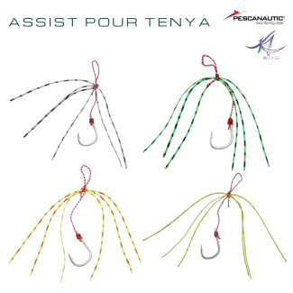 Assist for Tenya Size L col 01
